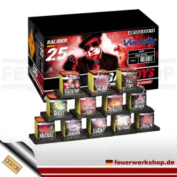 *Bad Boys Assortment* Vulcan Fireworks kaufen