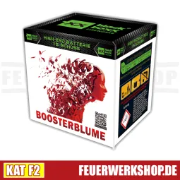 Feuerwerksbatterie *Boosterblume* von Blackboxx