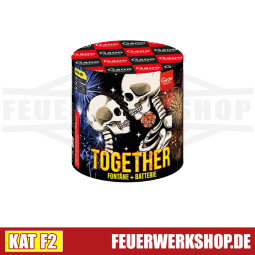 Gaoo Feuerwerk *TOGETHER / ELEGIA* kaufen