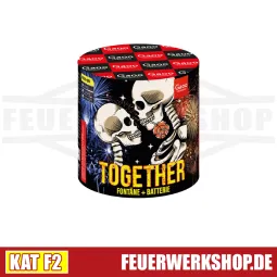 Gaoo Feuerwerk *TOGETHER / ELEGIA*