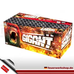 Kaliber 45mm Batteriefeuerwerk *Gigant 105* kaufen