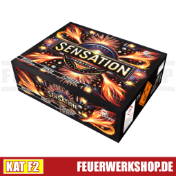 *Sensation* Verbundfeuerwerk Fire Event kaufen