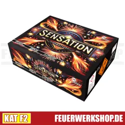 *Sensation* Verbundfeuerwerk Fire Event