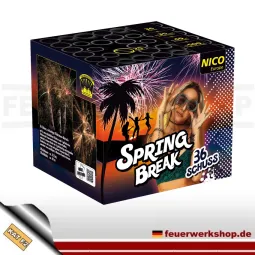 *Spring Break* 36 Schuss Batteriefeuerwerk Nico kaufen